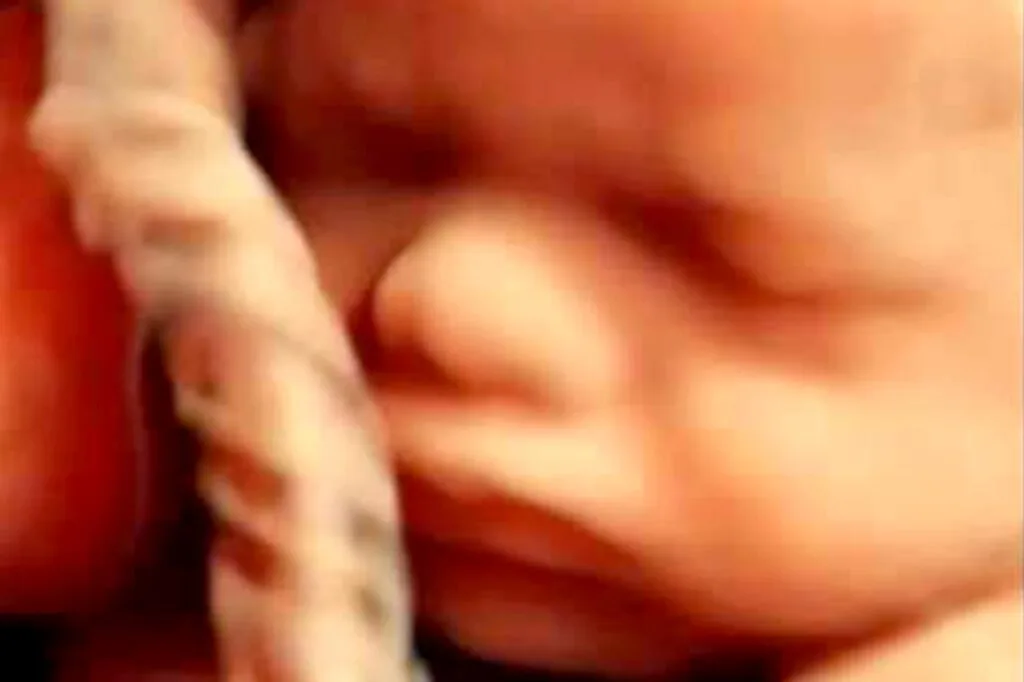 Obstetrics and Gynecology Center Dr. Kalcheva (5/5)