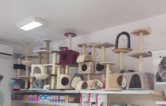 Tiergeschäft "Chip und Dale" - Viertel Lazur (2/3)