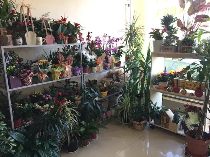 Blumen- und Souvenirgeschäft (3/3)