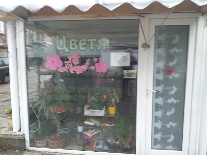 Магазини за цветя "Димови"