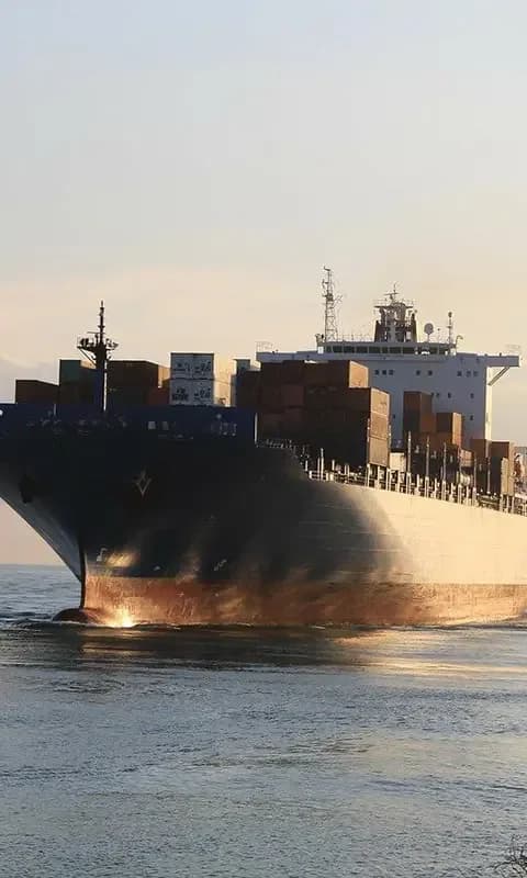 Flamingo Shipping – Transport i Logistyka w Burgas (2/3)