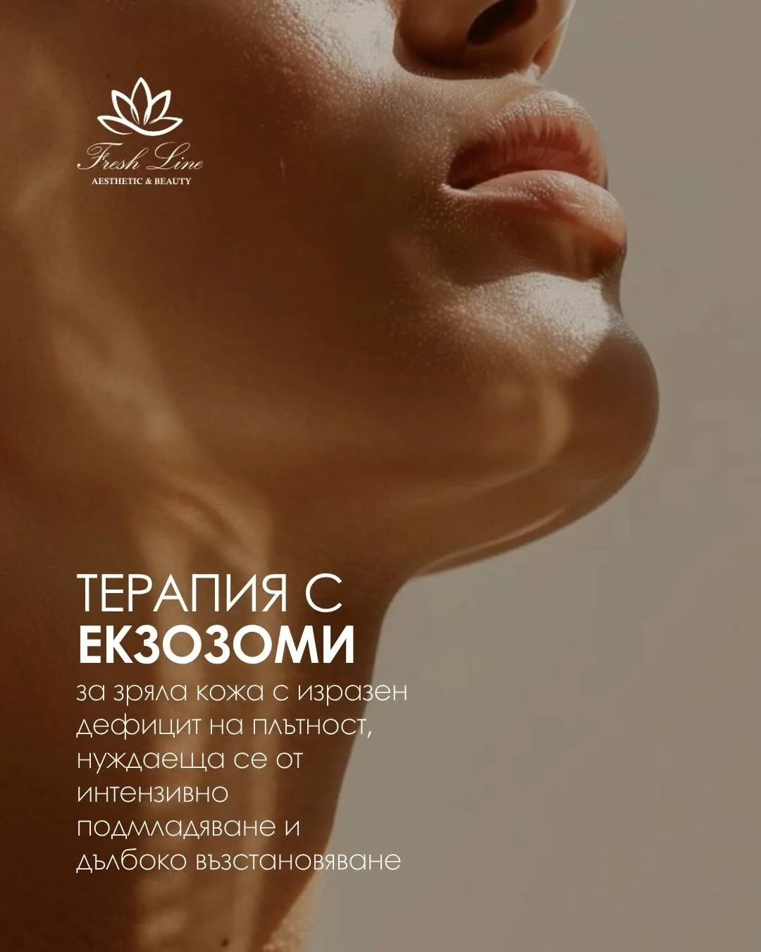 Salon de Înfrumusețare "FreshLine" (3/3)